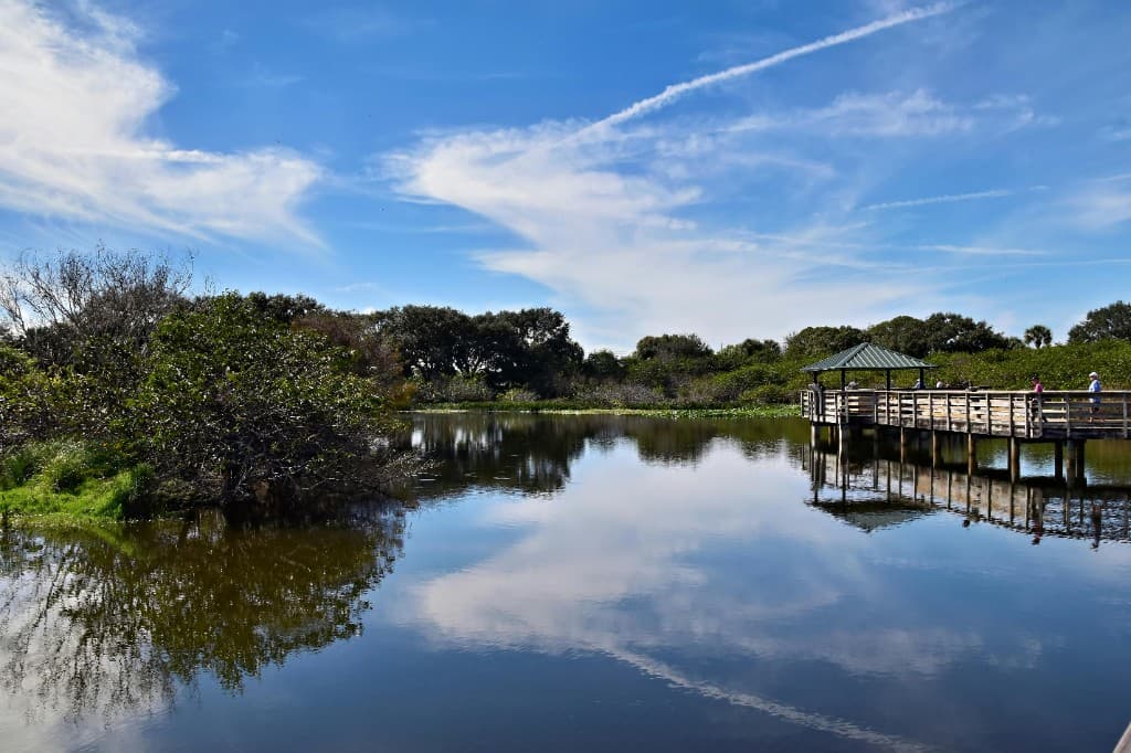 Florida wetland boardwalk and park trails.