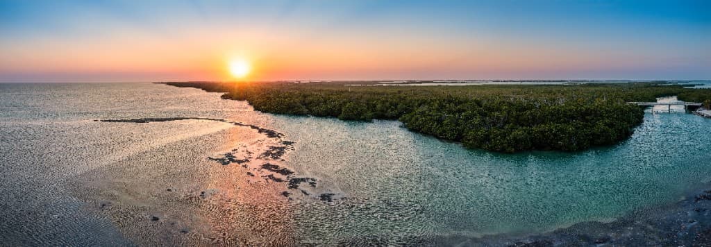 Panoramic aerial view of a Florida mangrove coastline at sunset, with the sun reflecting on calm water and dense green mangroves along the shore.