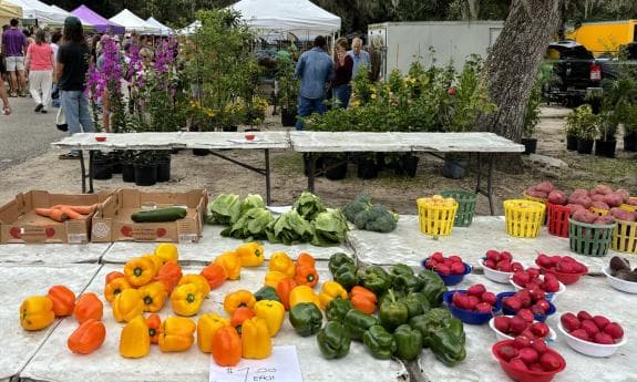 Fresh produce table at the St. Augustine Amphitheatre Farmers Market with peppers, radishes, greens, and local vendors.
